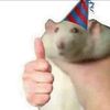 marrrub007