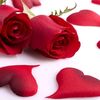 niloofar.yarmoham