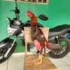 user4736847033308