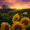 evelynrodriguez0453