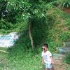 mdmostakim3714