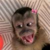 nicolll_1704