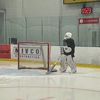anthoplays_puck