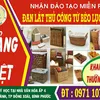 qung.nguyn146