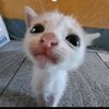lilyusuariof