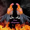 jago_elid123