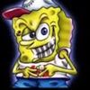 sillycactus72