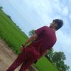 shari.mehar19