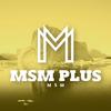 msmplus3