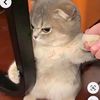 contrrl