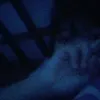 zaiikylaine_
