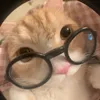 potassium_meow