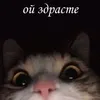 tincng159