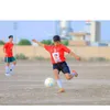 zidmhsin8