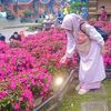 linda.wati173