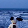 .pnatyeunho_