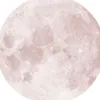 mii_25sy