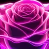 phm.th.tuyt41t