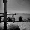 rafael_sprs