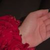 user7963812548816