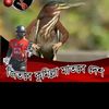 omor.faruk372