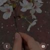 eman68223