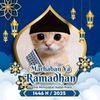 ibnuaditya598
