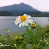 christie.ohei