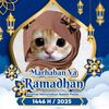 alya31423