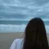 lari_vicent