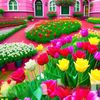 md.atif.aslam27