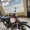 codet3229