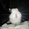 darov.m