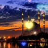 hala.zakaria37