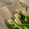 mohamad91352