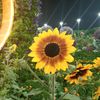 mrraihan5890