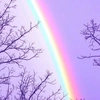 pink_rainbow.13