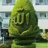 noureddine.jerbi