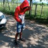 grego_2336