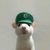 haydichoiii06