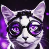 provost.mitzi