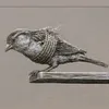qaedkucher