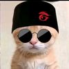 kage_slt