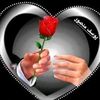 user5861412534101