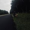 nessa_5732