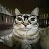 pedrincria3