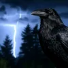 fylgija