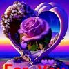 www.mdrohim