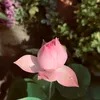 phuonganhl92