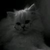 zaynab.esam